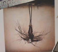 La matière des ombres